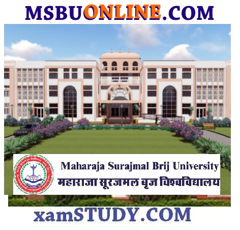 MSBU University Papers